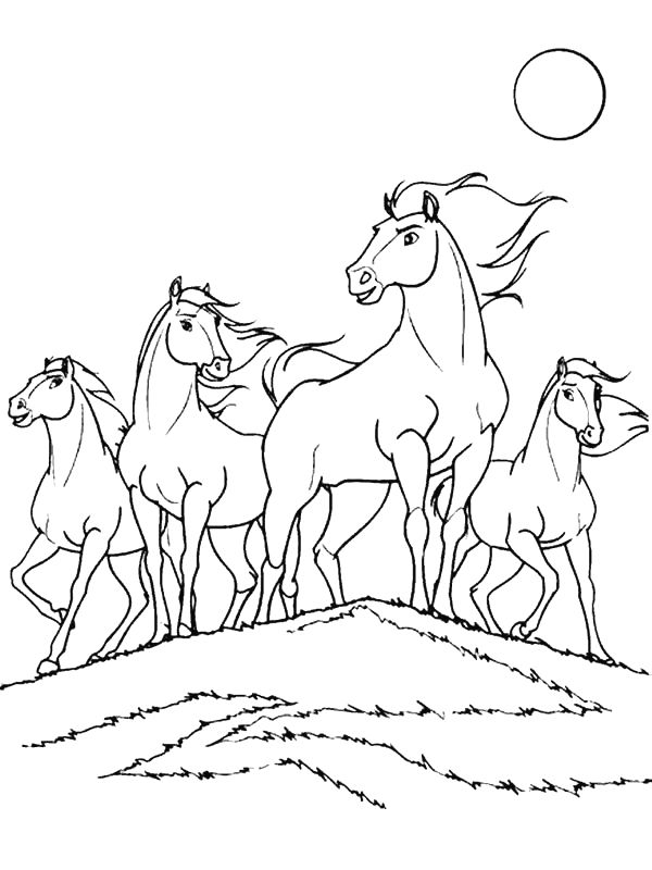 Coloring Pages On Horses