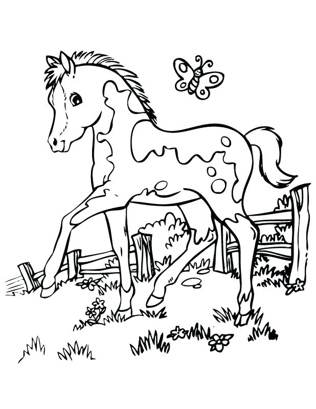 Coloring Pages Horses Of Baby Horse Throughout Design 15 618x800 Coloring Pages Horses Of Baby Horse Throughout Design 15