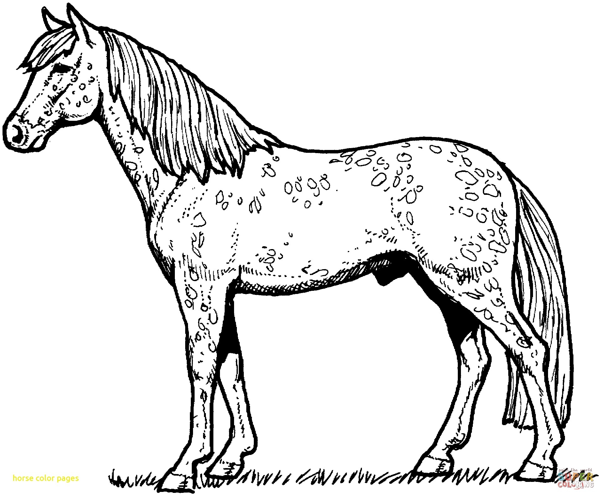 Coloring Pages Horses With Horse Coloring Pages Sheets And Free 1918x1581 Coloring Pages Horses With Horse Coloring Pages Sheets And Free