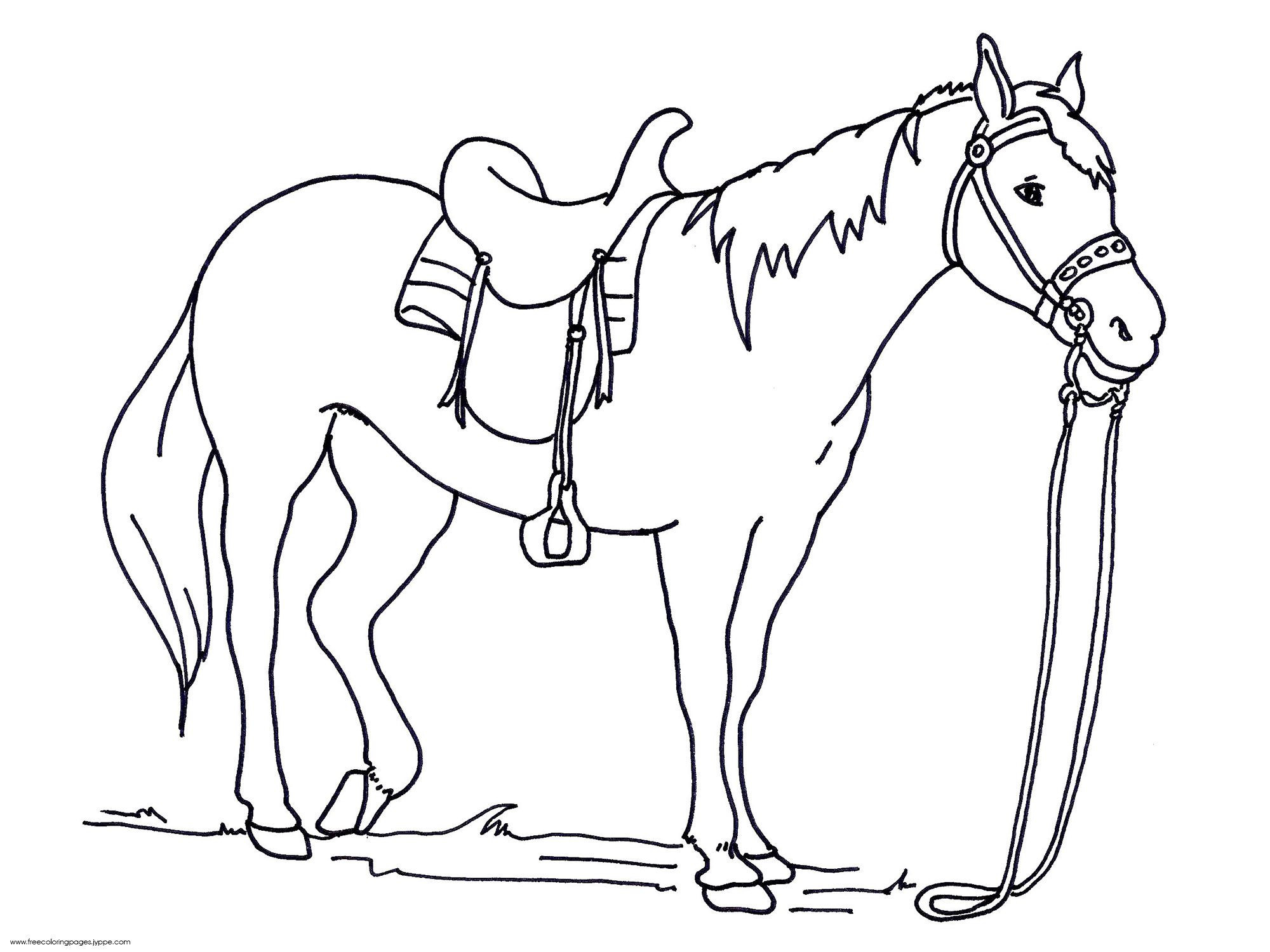 Luxury Coloring Pages Horses 2000x1500 Luxury Coloring Pages Horses