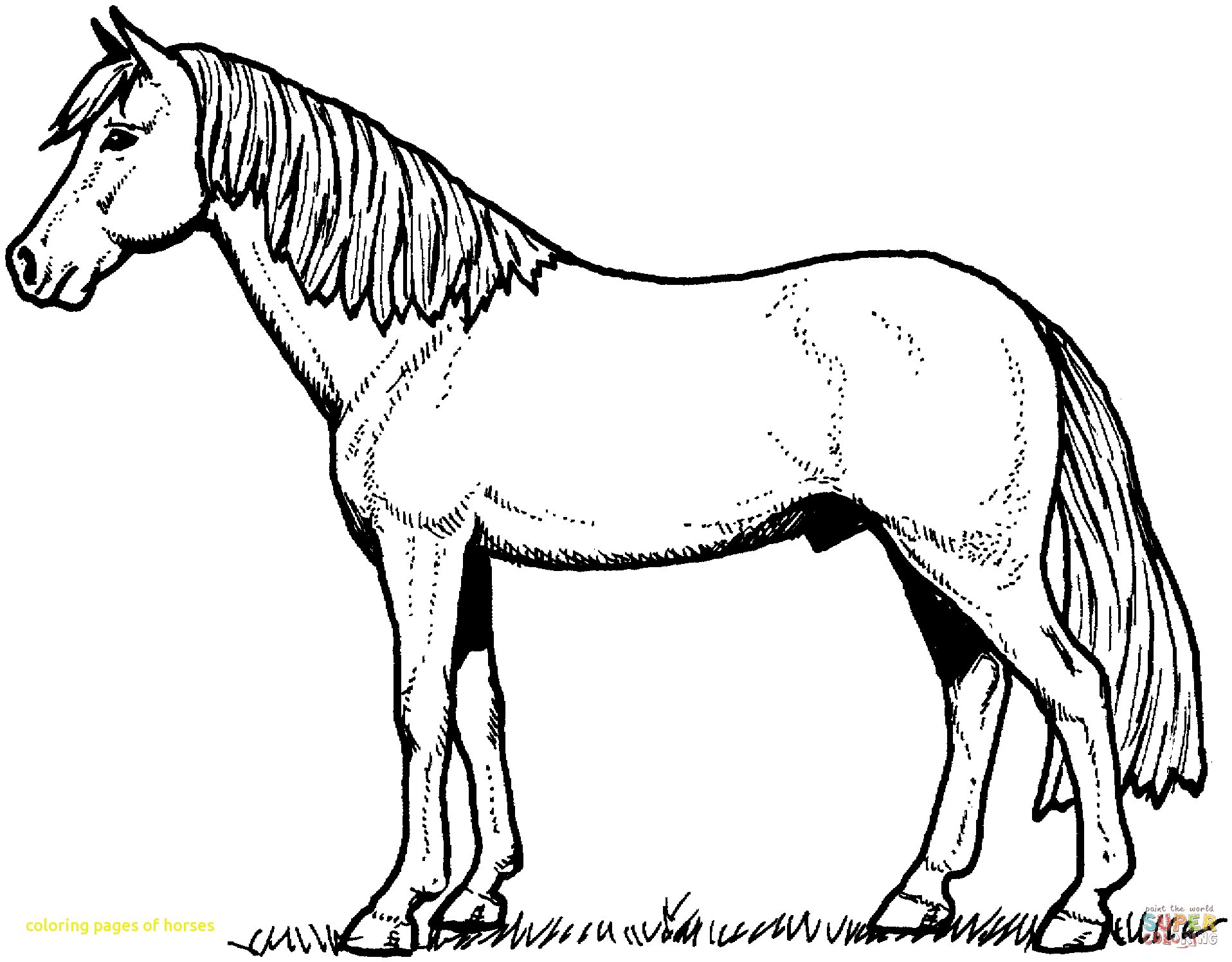 Awesome Www.coloring Pages 1916x1496 Awesome Www.coloring Pages