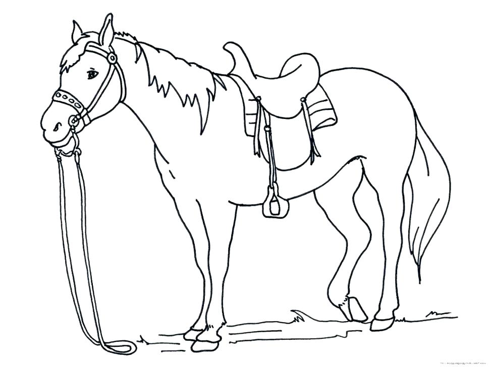 Coloring Page Of Horse Coloring Pages Of Horses To Print Horses 971x728 Coloring Page Of Horse Coloring Pages Of Horses To Print Horses