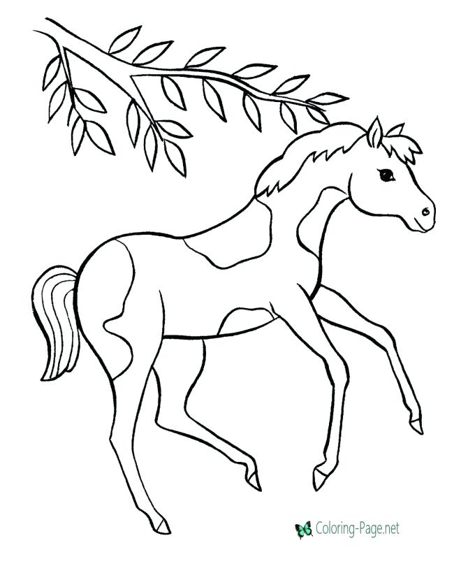 Coloring Pages Horse Coloring Pages Coloring Pictures Of Horses 670x820 Coloring Pages Horse Coloring Pages Coloring Pictures Of Horses