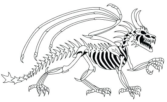 Dinosaur Bones Coloring Pages Fossils Coloring Pages Dinosaur 550x337 Dinosaur Bones Coloring Pages Fossils Coloring Pages Dinosaur
