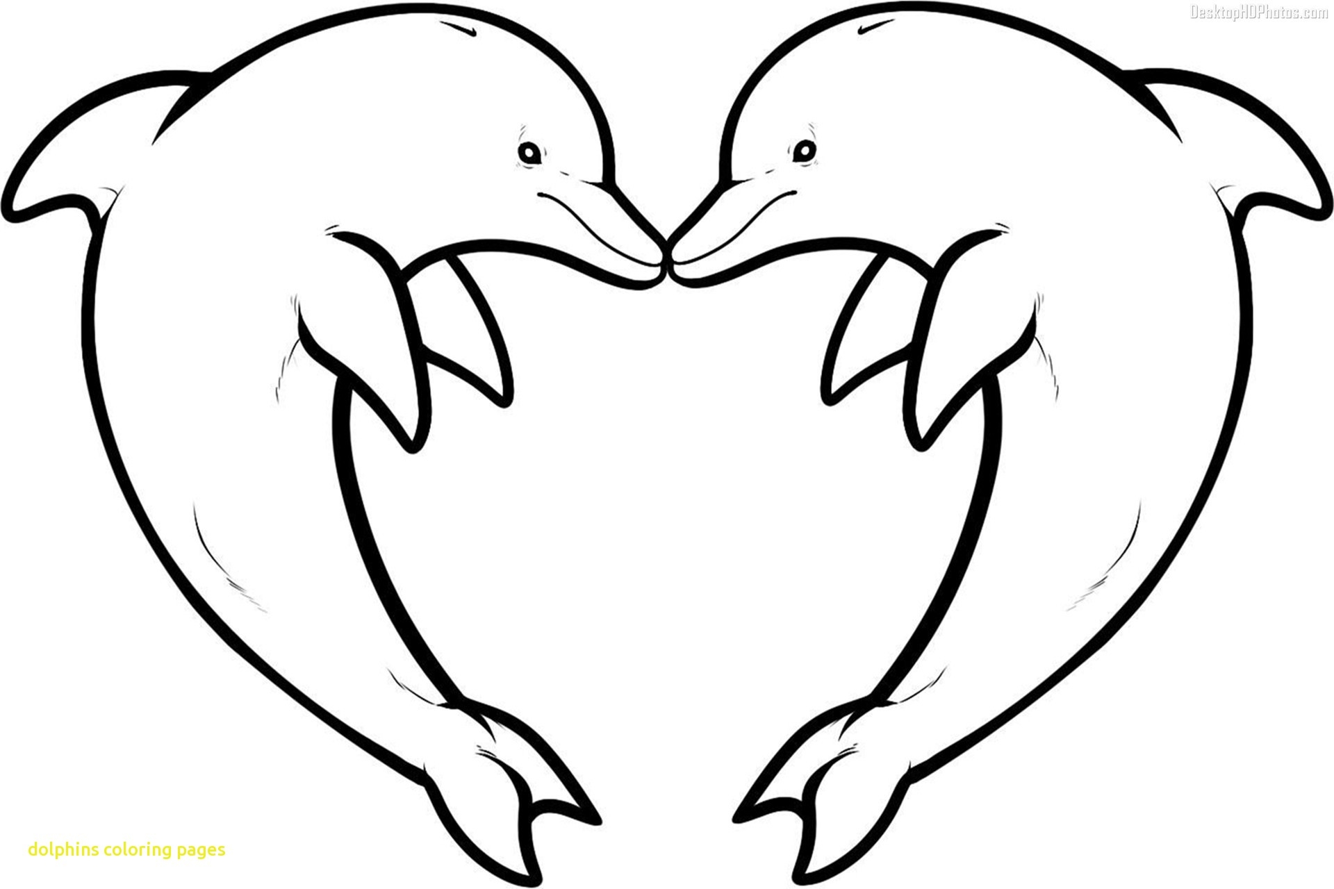 Genuine Printable Dolphin Pictures Free Clipart Coloring Pages 1920x1280 Genuine Printable Dolphin Pictures Free Clipart Coloring Pages