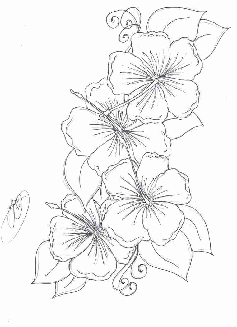 Hibiscus Flower Outline Coloring Pages Stunning Images Olegratiy 762x1049 Hibiscus Flower Outline Coloring Pages Stunning Images Olegratiy