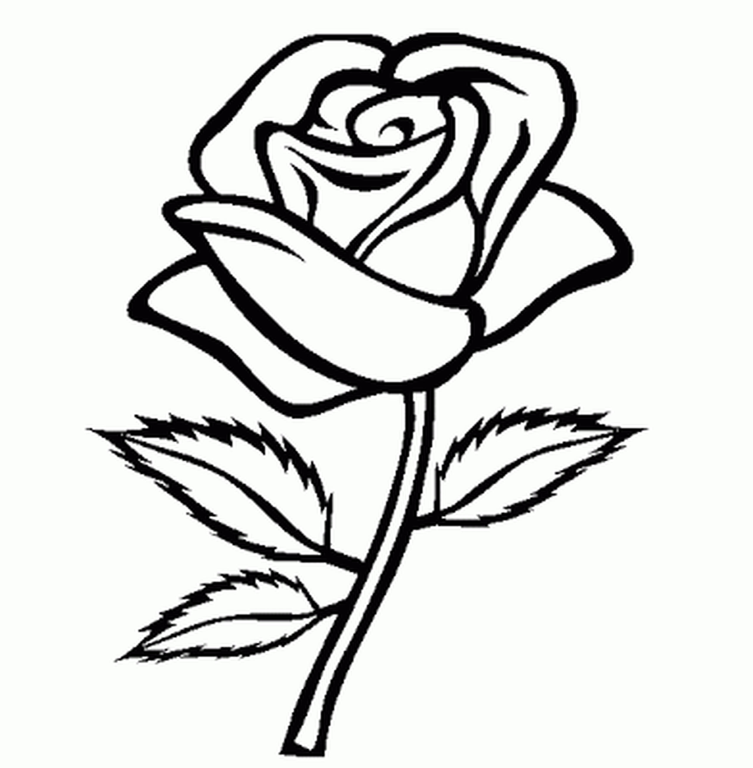 Lifetime Flowers Outlines For Colouring Outlin 2550x2602 Lifetime Flowers Outlines For Colouring Outlin