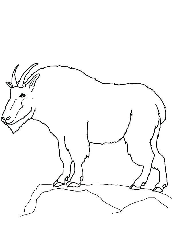 Mountain Lion Coloring Page Mountain Coloring Page Mountain Goat 600x800 Mountain Lion Coloring Page Mountain Coloring Page Mountain Goat