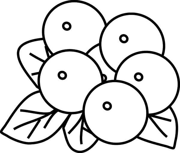 Blueberry Bush Outline Coloring Pages Best Place To Color 600x512 Blueberry Bush Outline Coloring Pages Best Place To Color