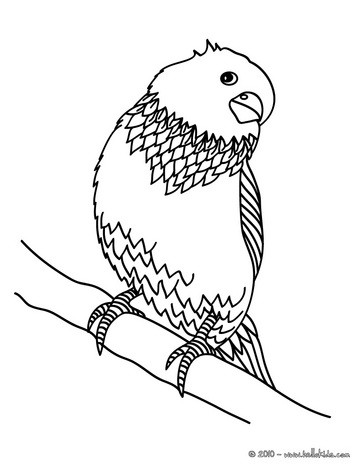 363x470 Phoenix Coloring Pages