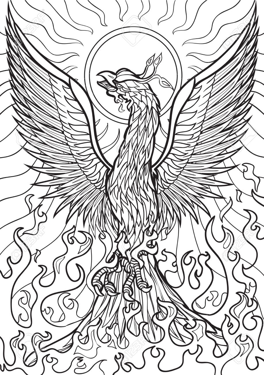 918x1300 Adult Coloring Book Pages Animals Phoenix Free
