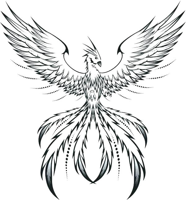 600x646 Tattoo Coloring Pages Phoenix Coloring Pages Phoenix Coloring