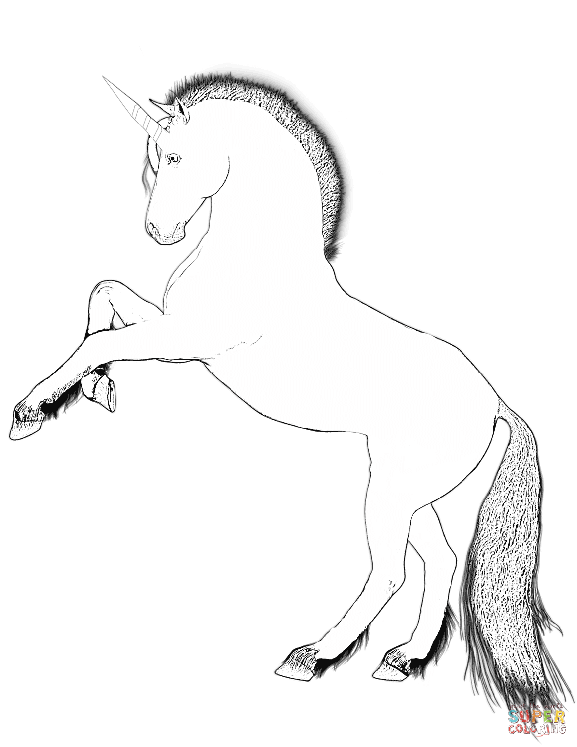 Unicorn Coloring Pages Free Coloring Pages Unicorn Coloring Pages 1159x1500 Unicorn Coloring Pages Free Coloring Pages Unicorn Coloring Pages