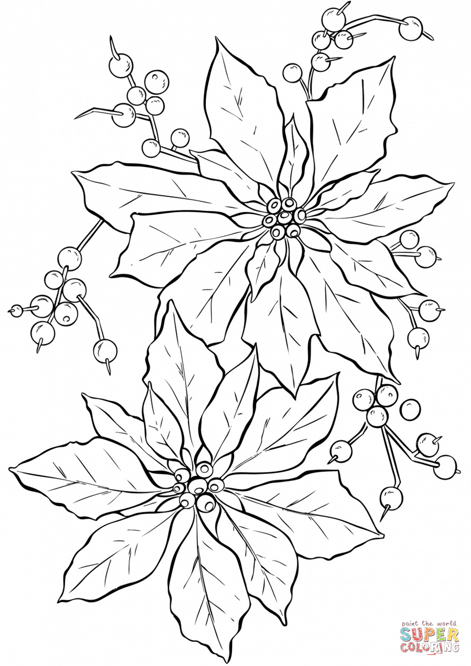 919x1300 Poinsettia Flower Super Coloring Coloring Pages