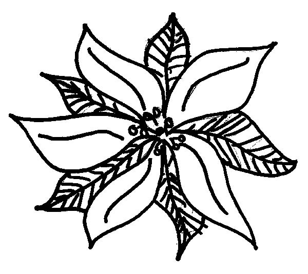 600x534 Pretty Poinsettia Picture Coloring Page Color Luna