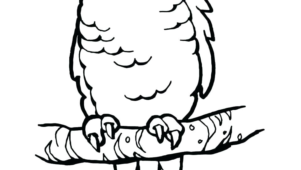 Parrot Coloring Sheet Parrot Coloring Page Parrot Coloring Sheets 960x544 Parrot Coloring Sheet Parrot Coloring Page Parrot Coloring Sheets