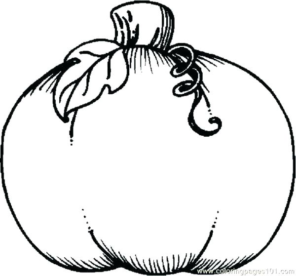 Amazing Free Pumpkin Coloring Pages Pumpkin Coloring Pages Free 600x559 Amazing Free Pumpkin Coloring Pages Pumpkin Coloring Pages Free