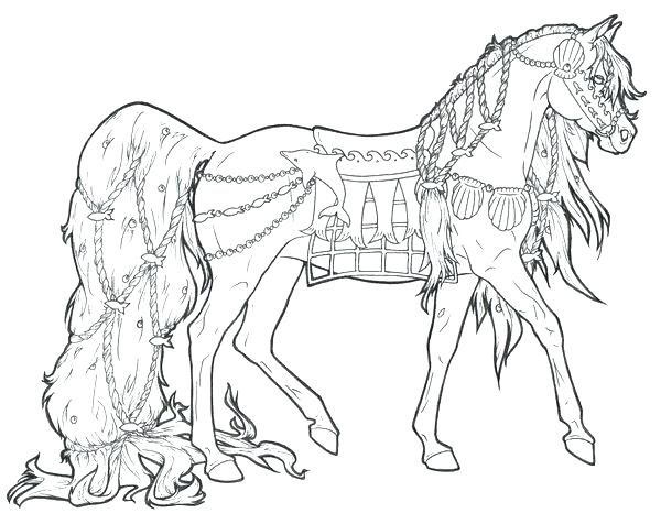 600x476 Realistic Coloring Pages Of Animals Real Animal Coloring Pages
