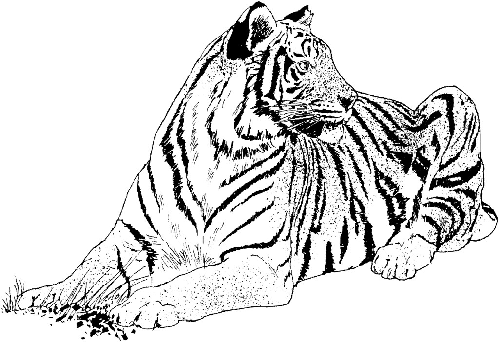 1024x702 Realistic Coloring Pages Realistic Coloring Pages Of Animals
