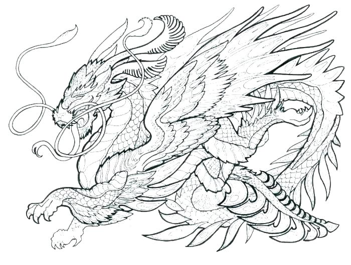 700x530 Dragon Coloring Pages Realistic Vanda