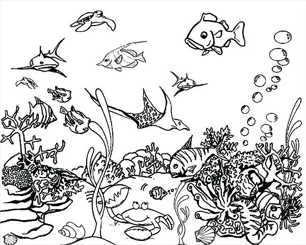 600x480 Sea Coloring Pages