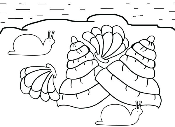 Sea Shells Coloring Pages Sea Shell Coloring Page Seashell 600x436 Sea Shells Coloring Pages Sea Shell Coloring Page Seashell