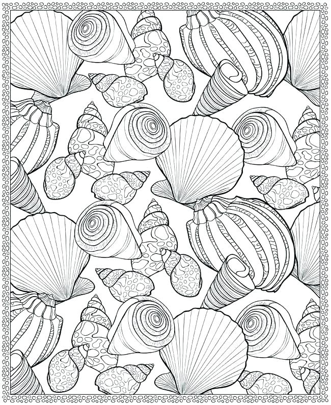 Seashell Coloring Page Sea Shells Coloring Pages Seashells 650x796 Seashell Coloring Page Sea Shells Coloring Pages Seashells
