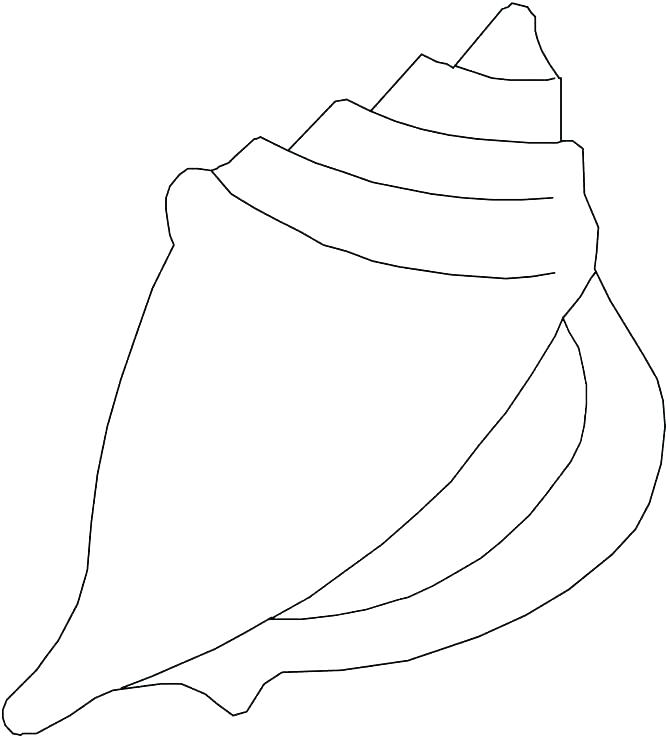 Coloring Pages Sea Shells at GetColorings.com | Free printable