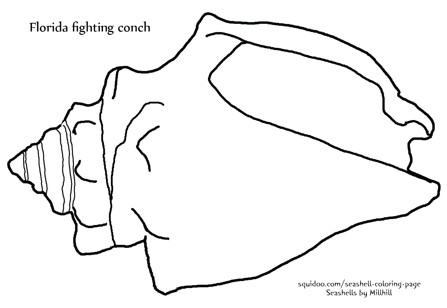 Seashells Coloring Page Of Pretty Sea Shells Art Lessons 1857x1280 Seashells Coloring Page Of Pretty Sea Shells Art Lessons
