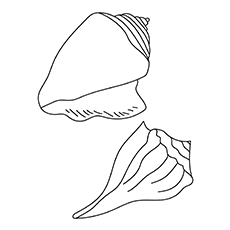 Top 25 Free Printable Shell Coloring Pages Online 230x230 Top 25 Free Printable Shell Coloring Pages Online