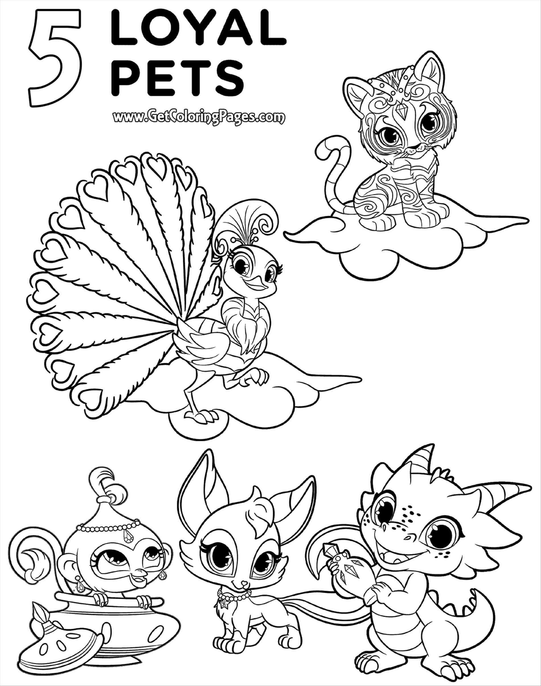 1900x2408 Nick Jr Coloring Pages Shimmer And Shine