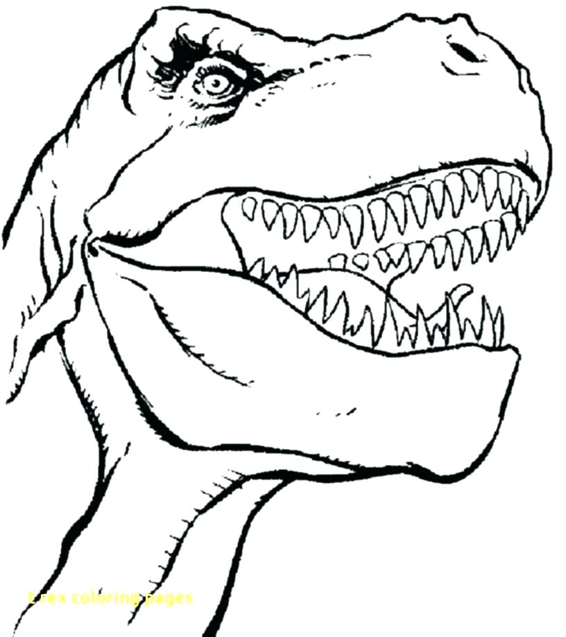 Tyrannosaurus Rex Coloring Page Tyrannosaurus Coloring Page T 816x918 Tyrannosaurus Rex Coloring Page Tyrannosaurus Coloring Page T