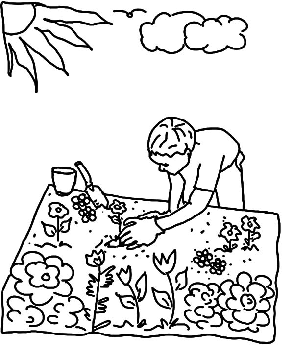 Garden Pictures To Color Planting Seed In Flower Garden Coloring 600x731 Garden Pictures To Color Planting Seed In Flower Garden Coloring