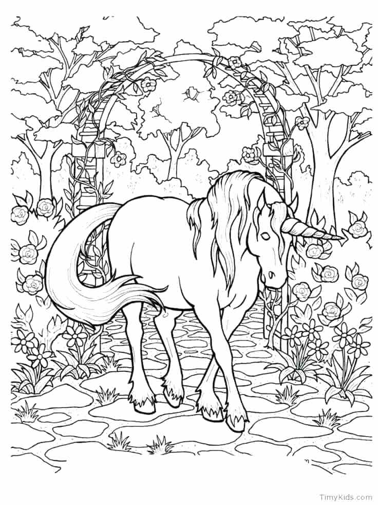 Unicorn Color Pages Unicorn Coloring Pages For Adults Unicorn 736x982 Unicorn Color Pages Unicorn Coloring Pages For Adults Unicorn