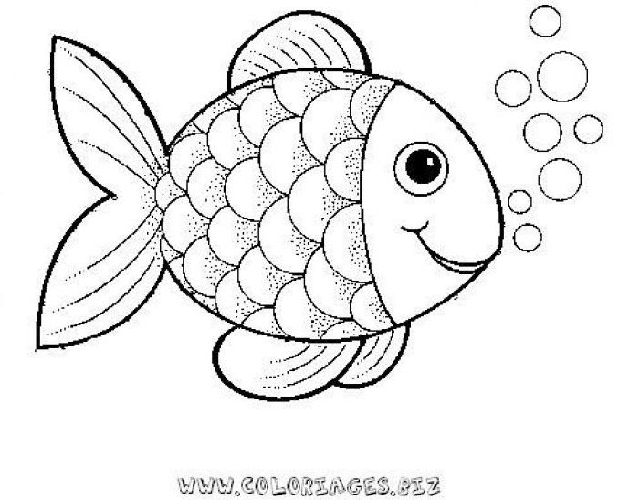 678x547 Latest Fish Pictures To Print Colour And Coloring Pages Kids Diolt