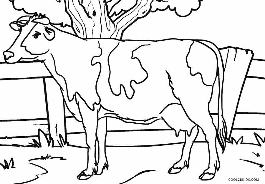 Cow Coloring Page Animals Town Color Sheet 900x625 Cow Coloring Page Animals Town Color Sheet