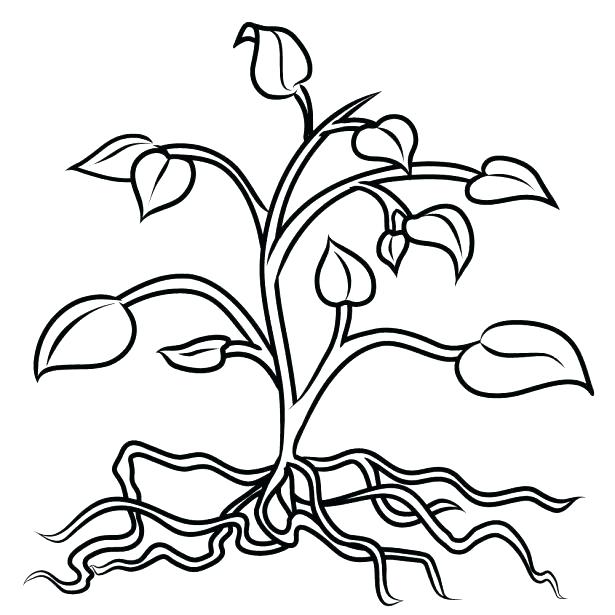 Coloring Pages Trees Plants And Flowers at GetColorings.com | Free ...