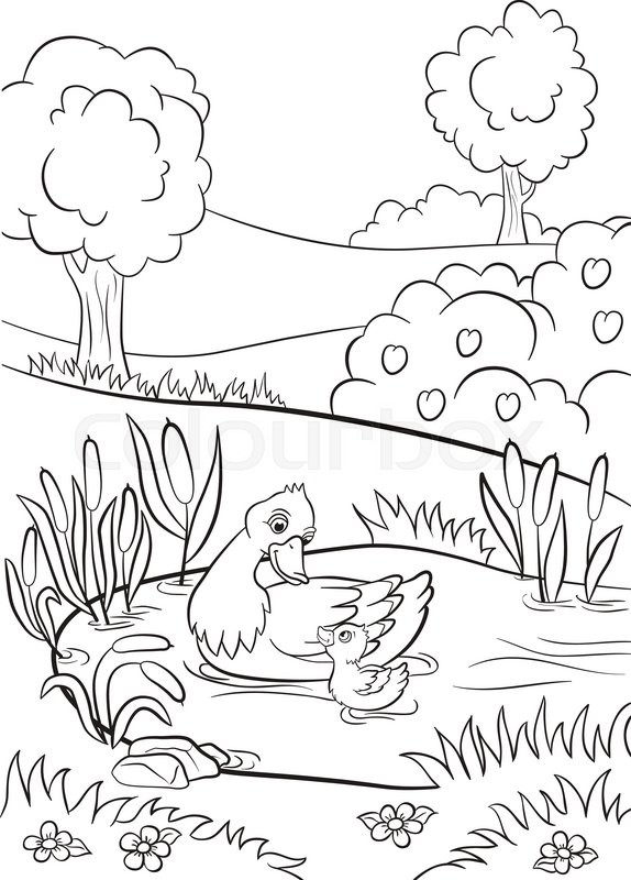 Coloring Pages Trees Plants And Flowers Erf Coloring 574x800 Coloring Pages Trees Plants And Flowers Erf Coloring