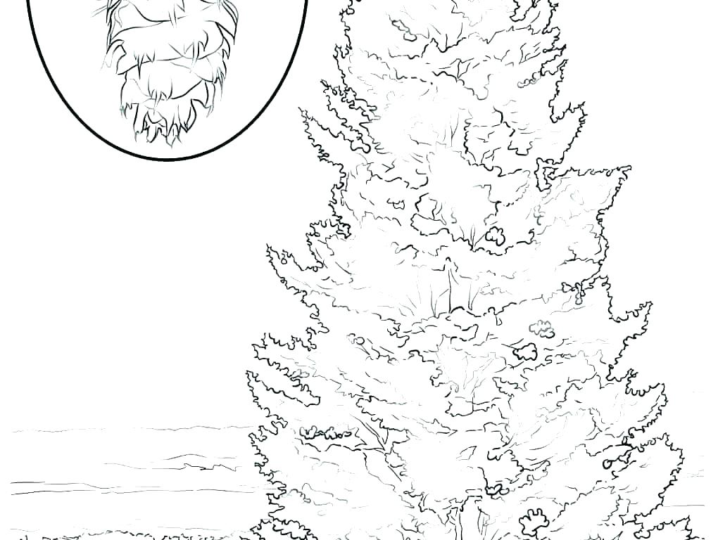 Autumn Tree Coloring Page Printable Fall Coloring Pages Autumn 1020x768 Autumn Tree Coloring Page Printable Fall Coloring Pages Autumn
