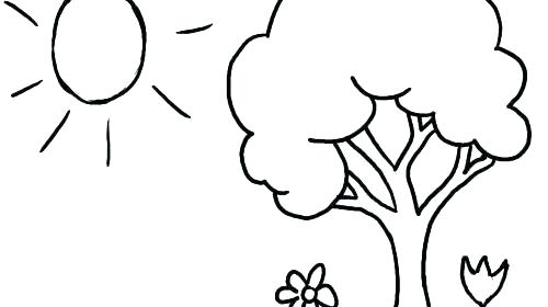 Coloring Pages Trees Plants And Flowers Vanda 500x280 Coloring Pages Trees Plants And Flowers Vanda