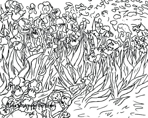 Van Coloring Pages Sunflowers By Van Image Gallery Van Coloring 600x480 Van Coloring Pages Sunflowers By Van Image Gallery Van Coloring