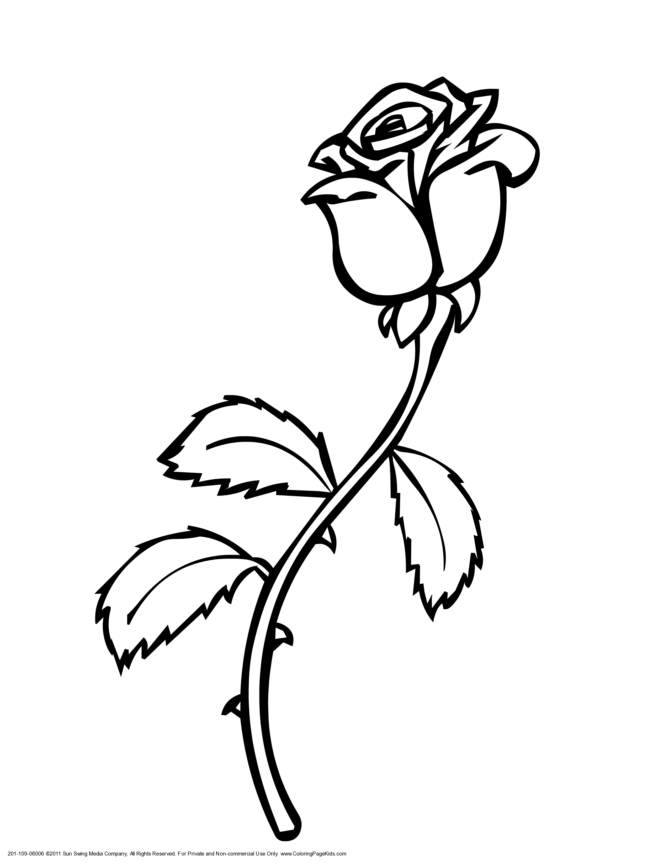 Coloring Pages Of Roses Lovely Rose Vines Drawings Clipart Best 2550x3300 Coloring Pages Of Roses Lovely Rose Vines Drawings Clipart Best