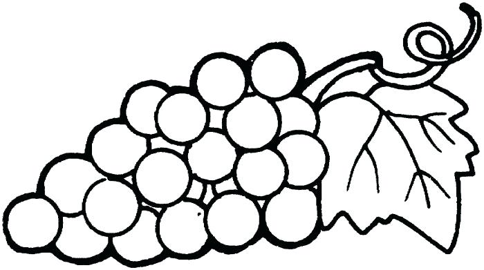 Grapes Coloring Pages Grapes Coloring Pages Grapes On Vine 700x391 Grapes Coloring Pages Grapes Coloring Pages Grapes On Vine
