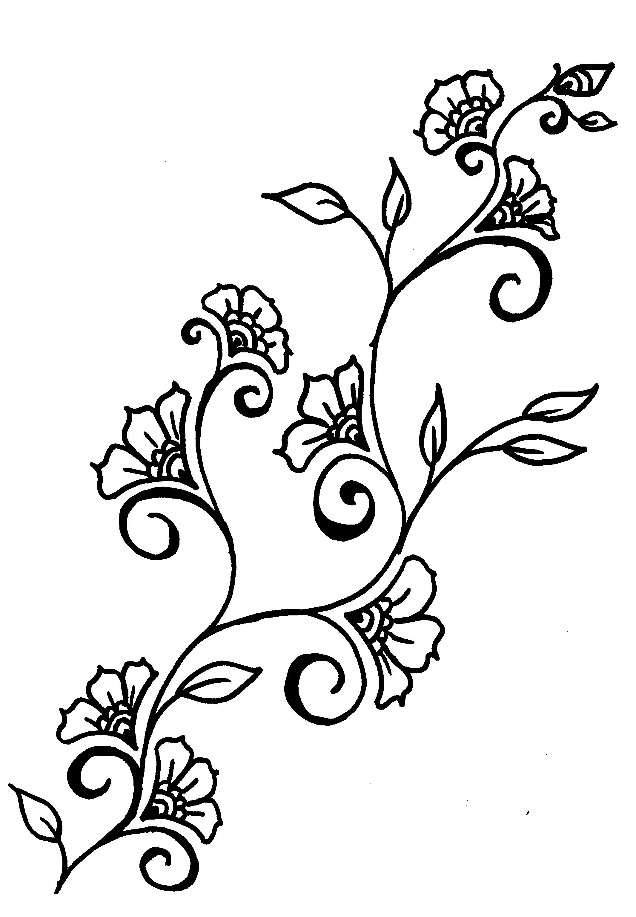 Incredible Drawn Vine Outline Pencil And In Color Pic For Flower 2130x3068 Incredible Drawn Vine Outline Pencil And In Color Pic For Flower