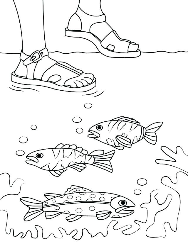 640x856 Water Coloring Page Walks On Water Coloring Page Wk Coloring Walks