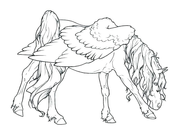 736x556 Detailed Horse Coloring Pages Horse Coloring Sheet Coloring
