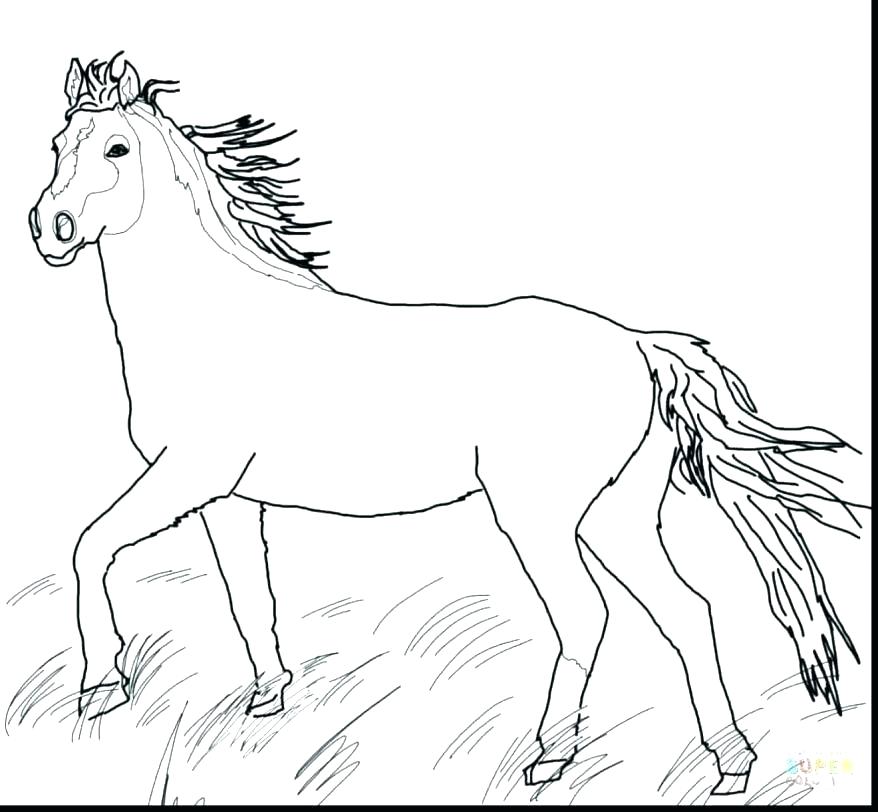 878x812 Horse Coloring Pages Horse By Printable Horse Horse Coloring Pages