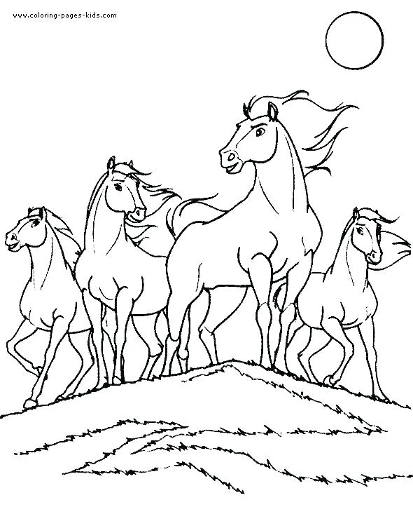 590x733 Horses Coloring Page