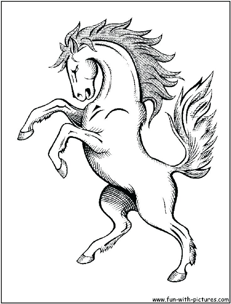 736x966 Wild Horse Coloring Pages