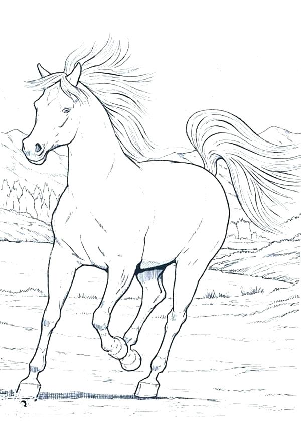 600x847 Wild Horses Coloring Pages